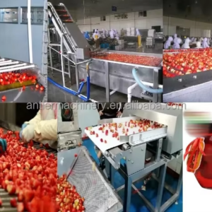 Ligne de production de fraises et fruits en conserve avec de l'eau sucrée