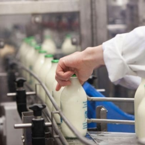 Ligne de traitement du lait pasteurisé