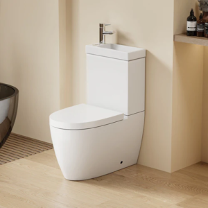 Céramique de toilettes