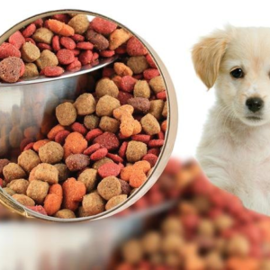 Aliments pour animaux de compagnie