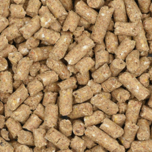 Aliments pour moutons et vaches