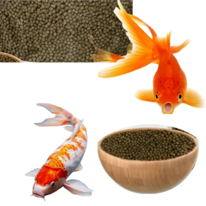 Nourriture pour poissons